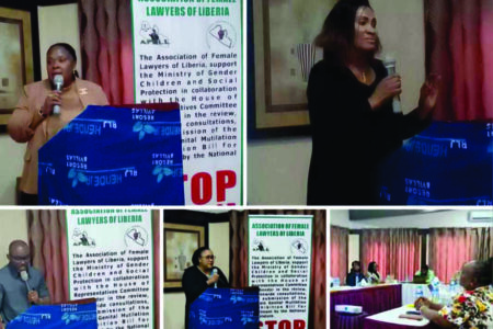 AFELL, Gender Ministry Kickoff Revision Of Draft FGM Prohibition Bill