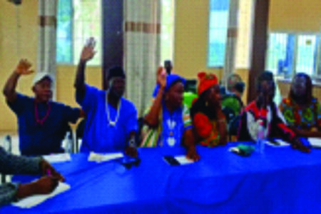 Bong County Council Differs On Presidential Palace Renovation